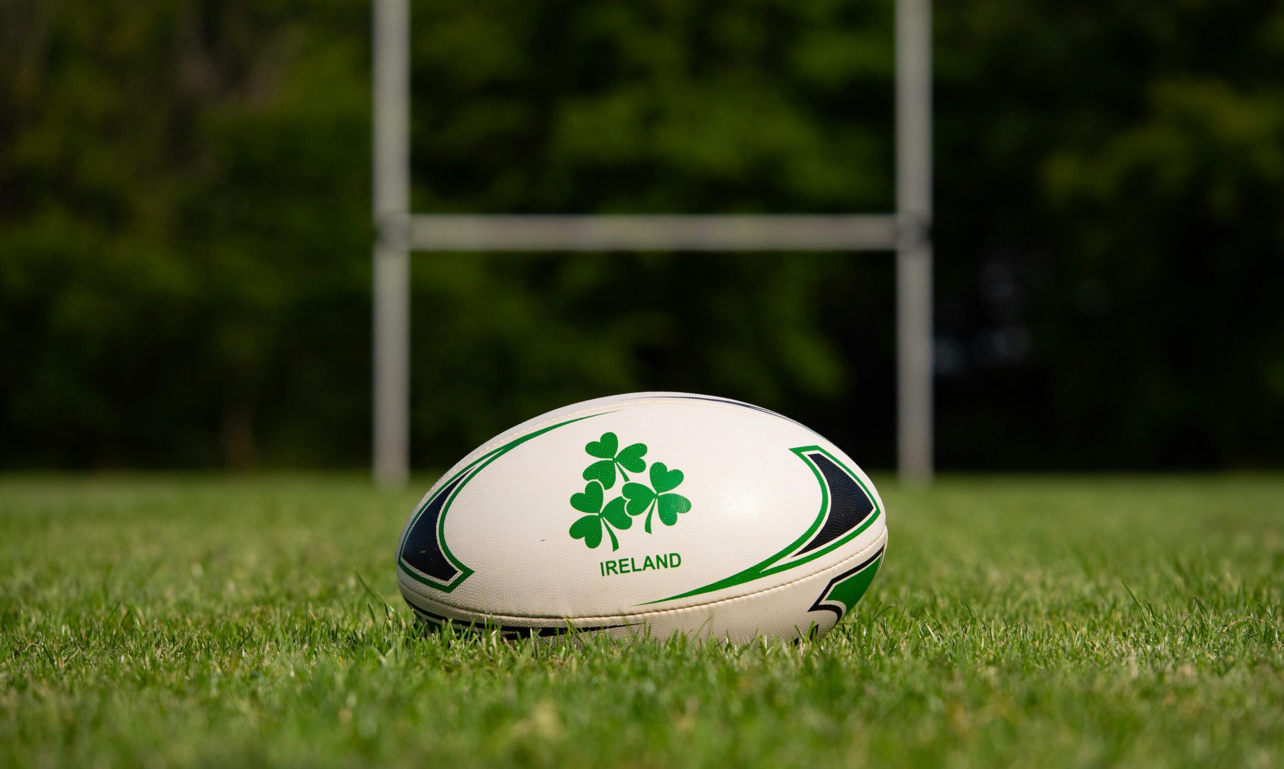 Rugby ball on grass in Galway, Ireland. Perfect for sports themes.