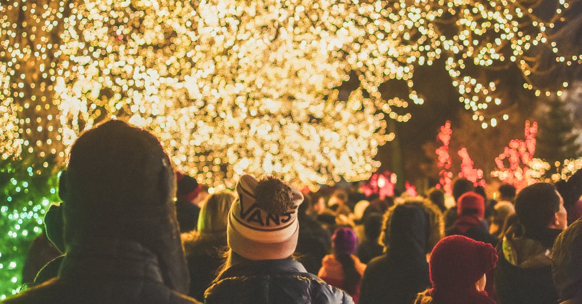 A crowd enjoys holiday lights on trees during a festive evening outdoor event.