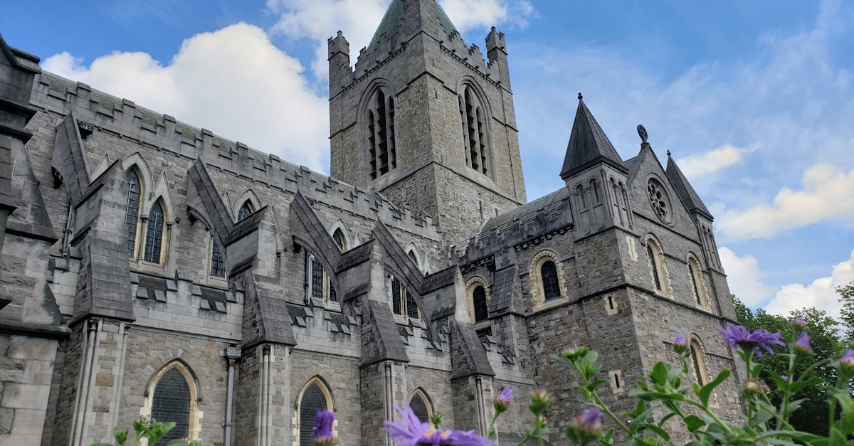 Beautiful view of a gothic cathedral in Dublin with blue sky and flowers.