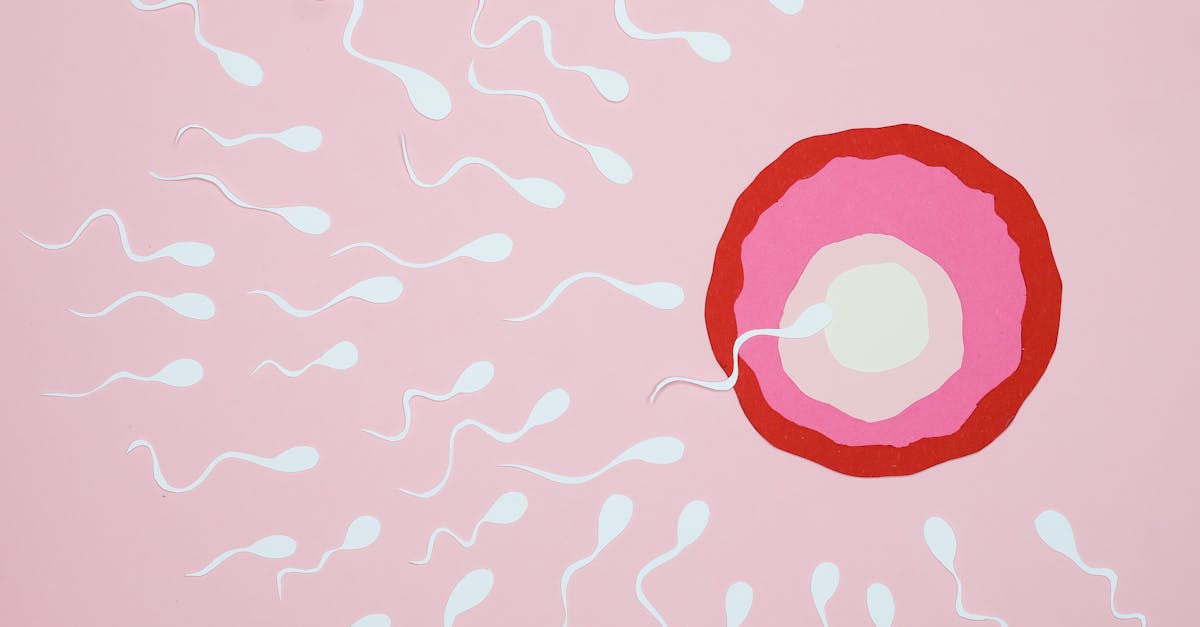 Illustration of sperm reaching an egg with a pink background, symbolizing fertilization.